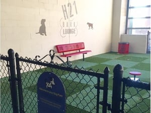 Hartford 21 Bark Lounge