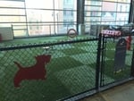 Turf Pods Dog Park Surfacing (PODS)