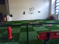 Hartford 21 Bark Lounge