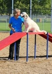 Storey Bark Park