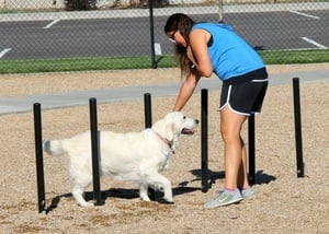 Storey Bark Park