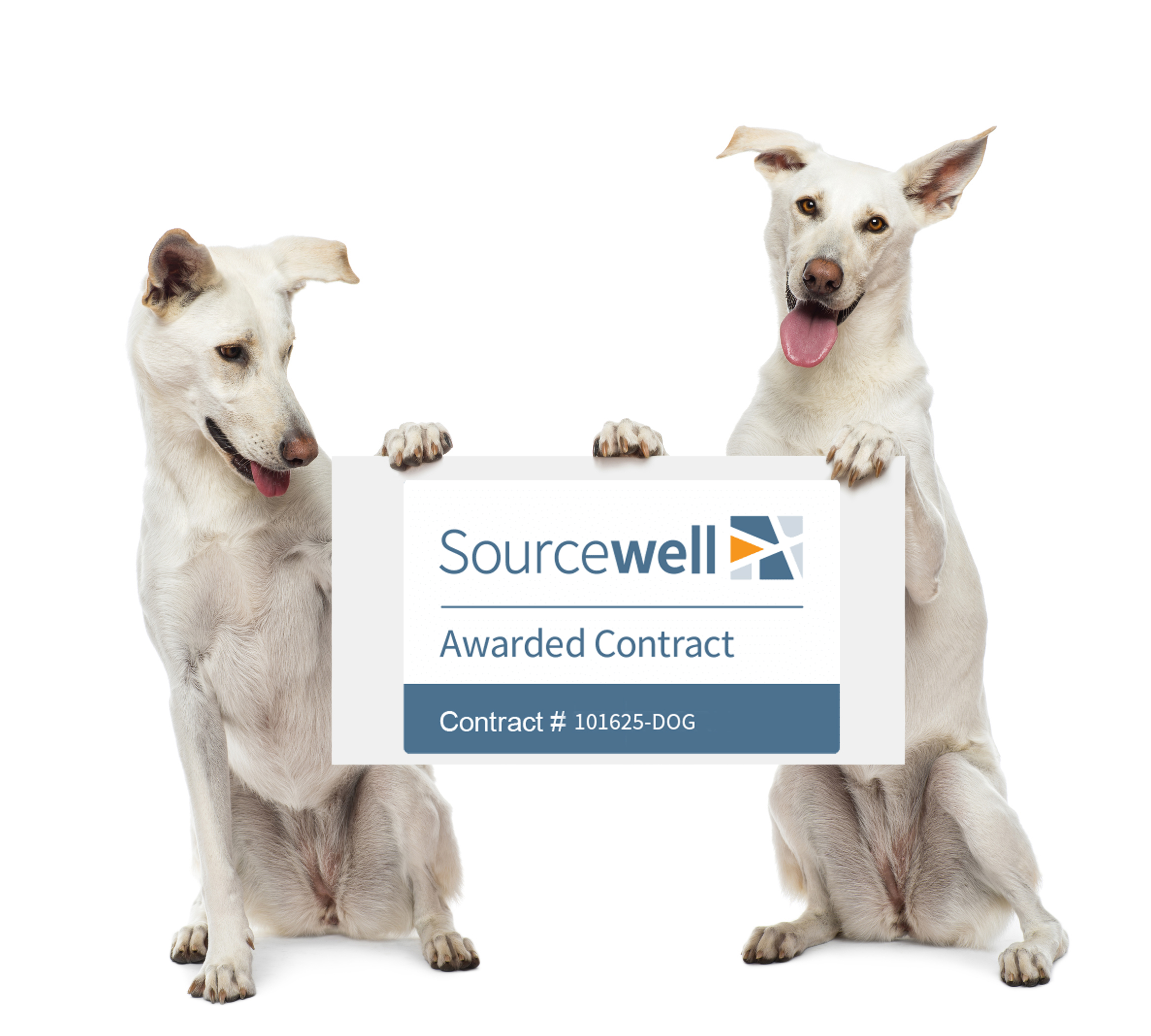 Two Dogs Holding Sourcewell Contract