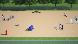 Dog Park Packages/Kits Canine Courtyard™ Essentials