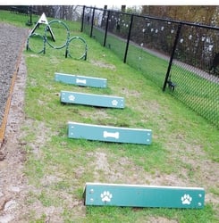 Hound Hurdles™