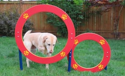Double Hoop Jump