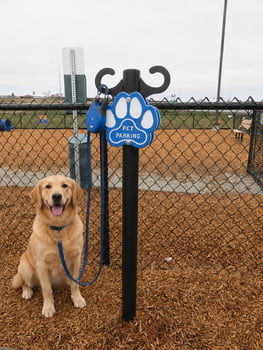 Pet Parking Post