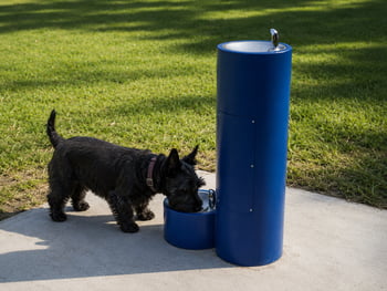 Pedestal Fountain w/ Pet Bowl