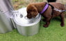 Barrier Free Fountain w/ Pet Bowl