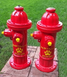 Top Spray Fire Hydrant