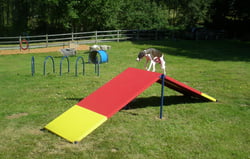 Classic Dog Park Agility Equipment A-Frame