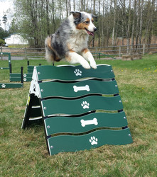 Canine Courtyard™ Dog Park Agility Collie Crawl