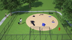 Canine Courtyard Deluxe Package