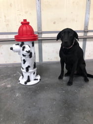 Fire Hydrant