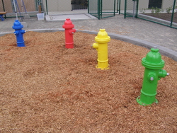Fire Hydrant