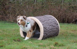 NatureDog™ Terrier Tunnel