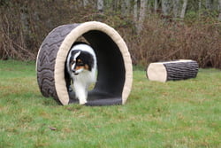 NatureDog™ Agility NatureDog™ Dog Through the Log