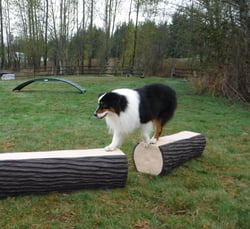 NatureDog™ Agility NatureDog™ Dog Leg Walk