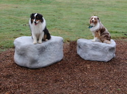 NatureDog™ Small Boulder