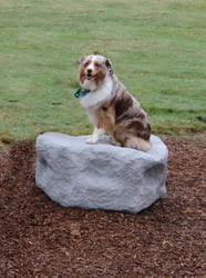 NatureDog™ Agility NatureDog™ Small Boulder