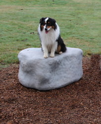 NatureDog™ Agility NatureDog™ Large Boulder