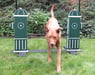 EcoDog&trade; System