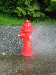 Pet Fountains & Water Features Spray Fire Hydrant