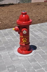 Dog Park Spray Hydrant