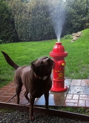 Top Spray Fire Hydrant