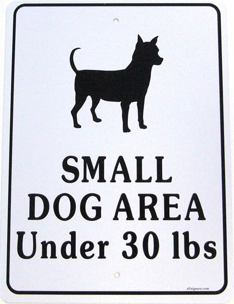 large and small dog