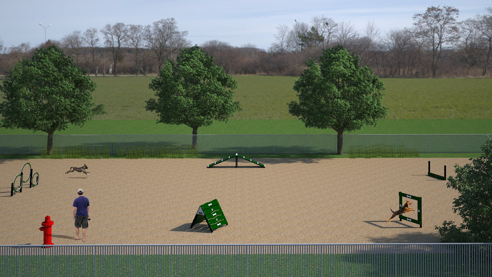 Canine Courtyard™ Essentials