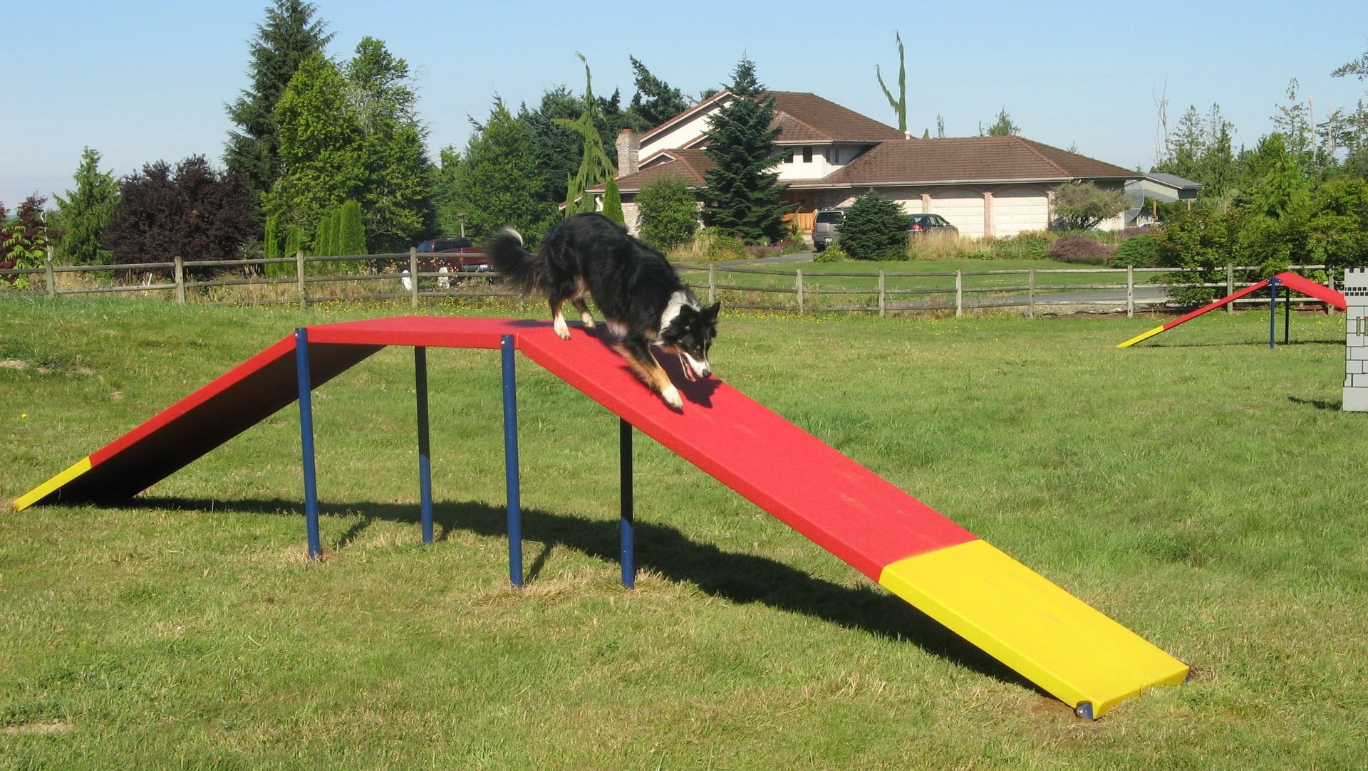 dog ramp agility